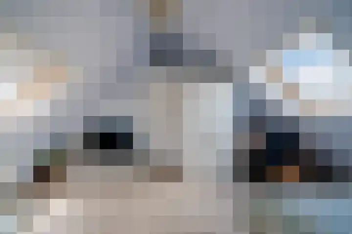 Boogoort 3 Broek op Langedijk thumbnail 54