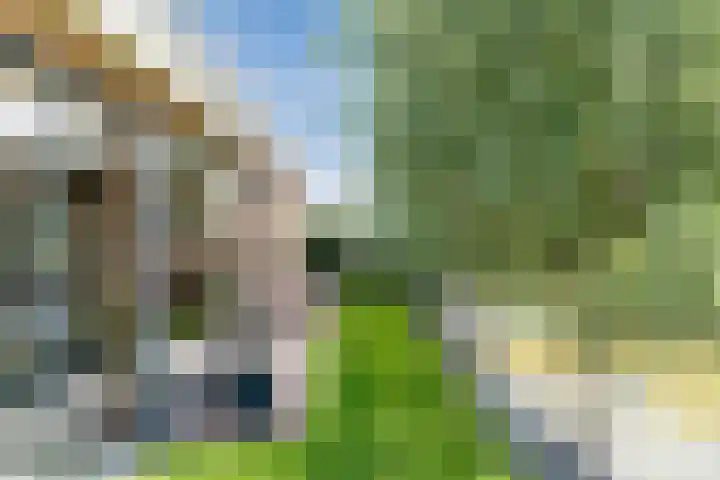 Boogoort 3 Broek op Langedijk thumbnail 55