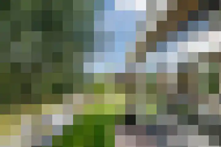 Boogoort 3 Broek op Langedijk thumbnail 56