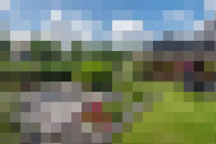 Boogoort 3 Broek op Langedijk thumbnail 57