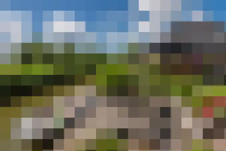 Boogoort 3 Broek op Langedijk thumbnail 58