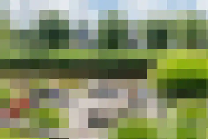 Boogoort 3 Broek op Langedijk thumbnail 59