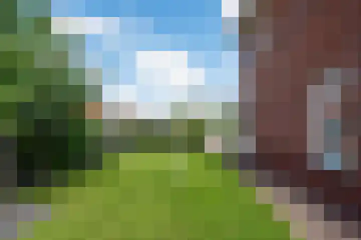 Boogoort 3 Broek op Langedijk thumbnail 61