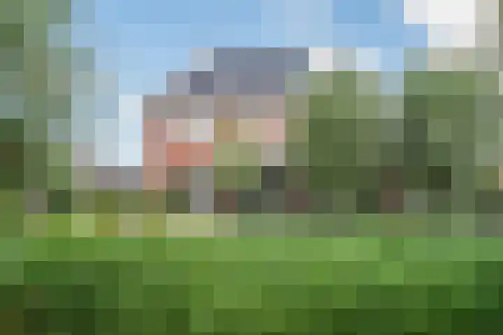 Boogoort 3 Broek op Langedijk thumbnail 62