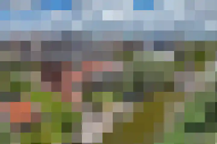 Boogoort 3 Broek op Langedijk thumbnail 63
