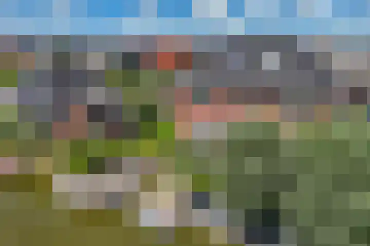Boogoort 3 Broek op Langedijk thumbnail 64