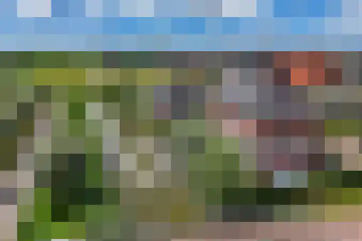 Boogoort 3 Broek op Langedijk thumbnail 65