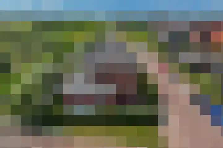Boogoort 3 Broek op Langedijk thumbnail 66