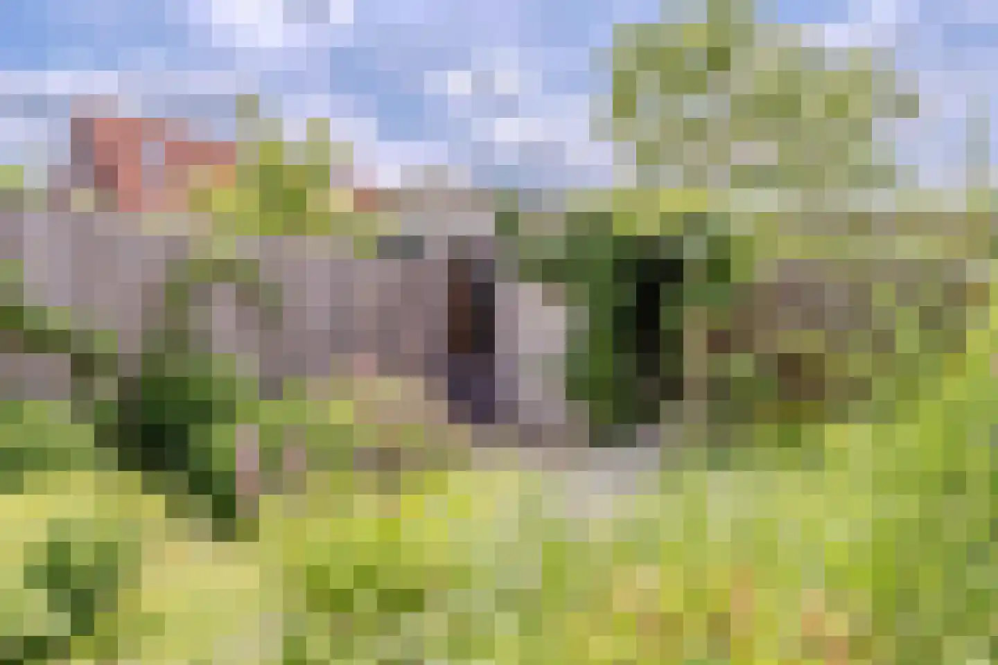 Boogoort 56 Broek op Langedijk thumbnail 24