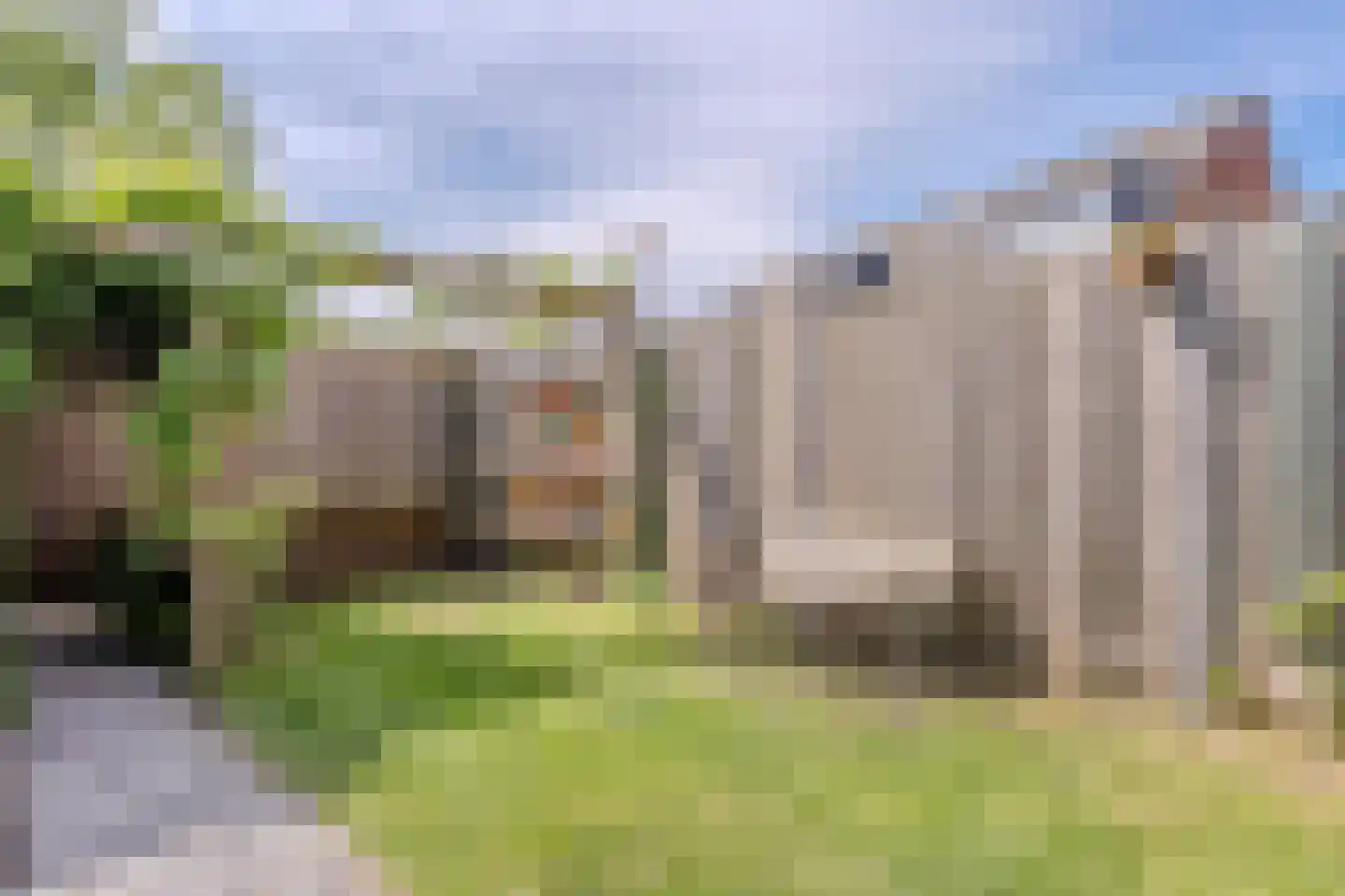 Boogoort 56 Broek op Langedijk thumbnail 26