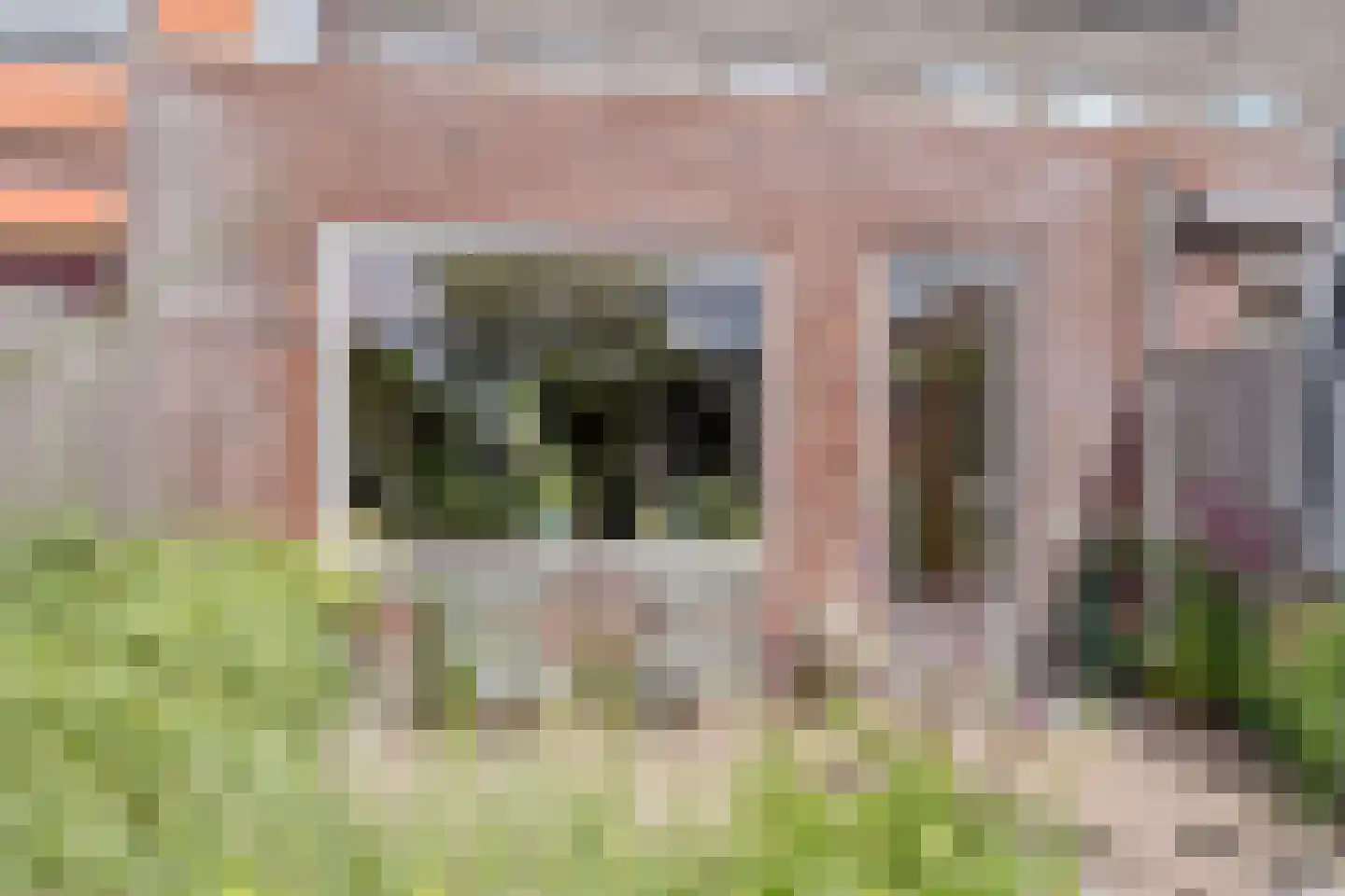 Boogoort 56 Broek op Langedijk thumbnail 27