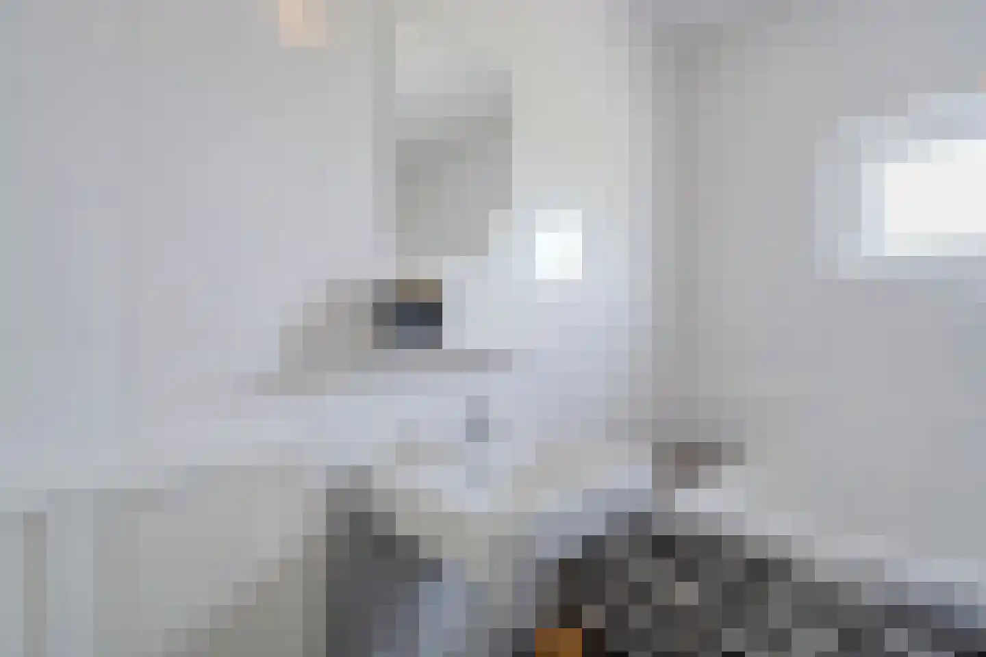 Boogoort 56 Broek op Langedijk thumbnail 42