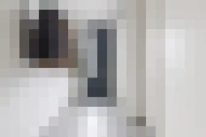 Boogoort 58 Broek op Langedijk thumbnail 15