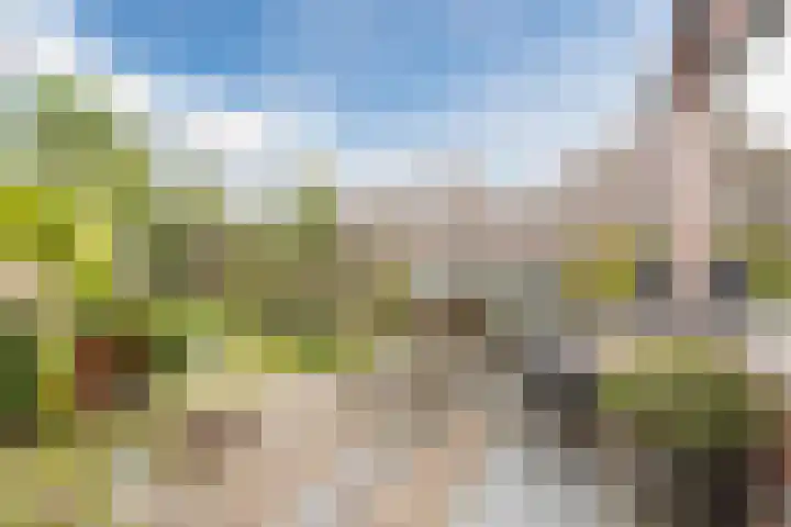 Boogoort 58 Broek op Langedijk thumbnail 32
