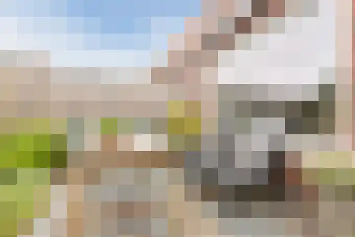 Boogoort 58 Broek op Langedijk thumbnail 33