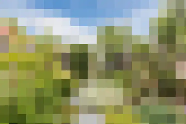 Boogoort 58 Broek op Langedijk thumbnail 34