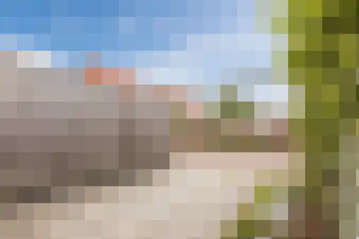 Boogoort 58 Broek op Langedijk thumbnail 37