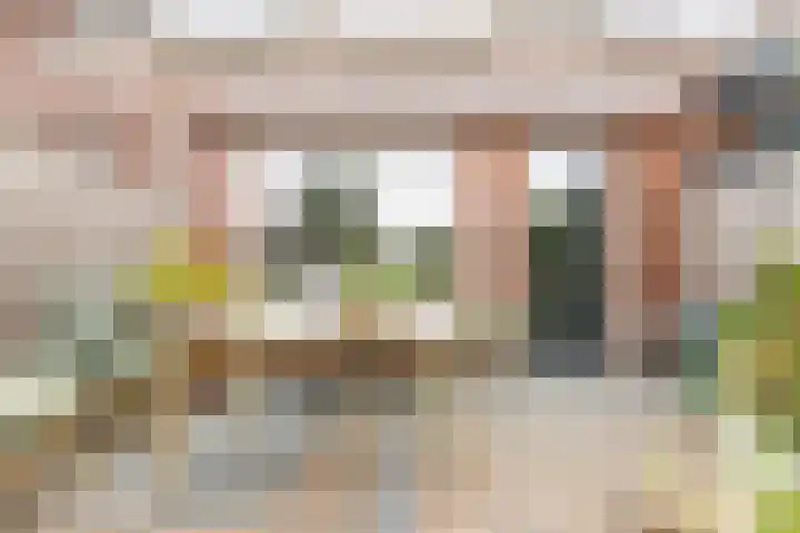 Boogoort 58 Broek op Langedijk thumbnail 41