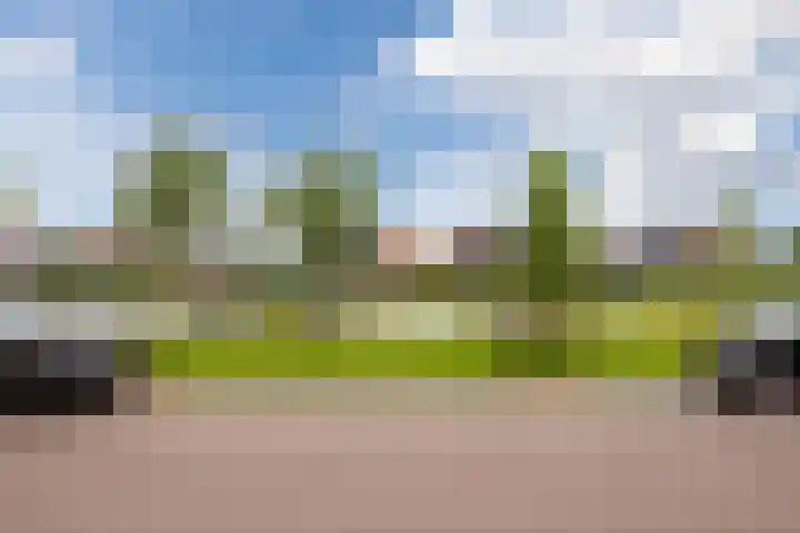 Boogoort 58 Broek op Langedijk thumbnail 49