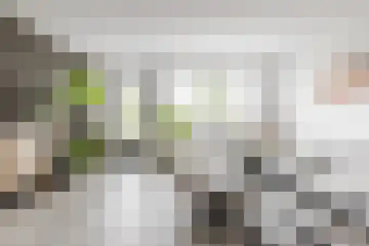 Boogoort 58 Broek op Langedijk thumbnail 5