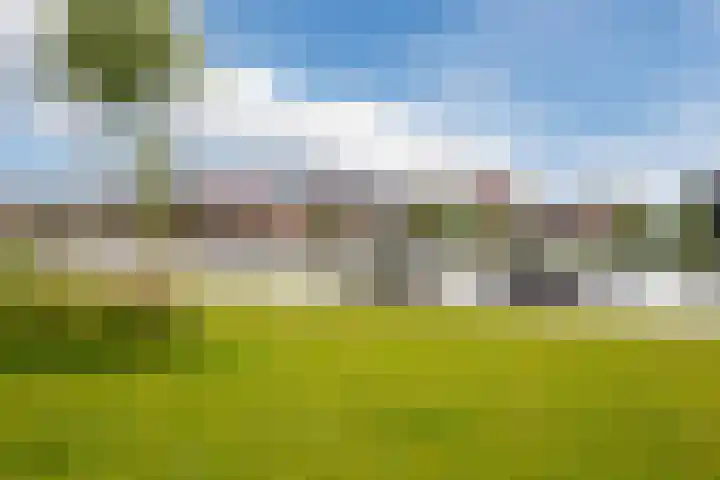 Boogoort 58 Broek op Langedijk thumbnail 50