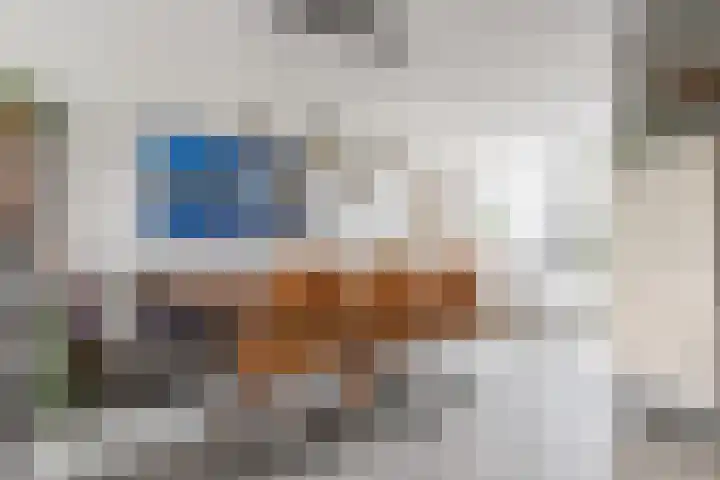 Boogoort 58 Broek op Langedijk thumbnail 7