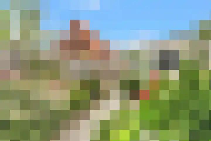 Boogoort 62 Broek op Langedijk thumbnail 18