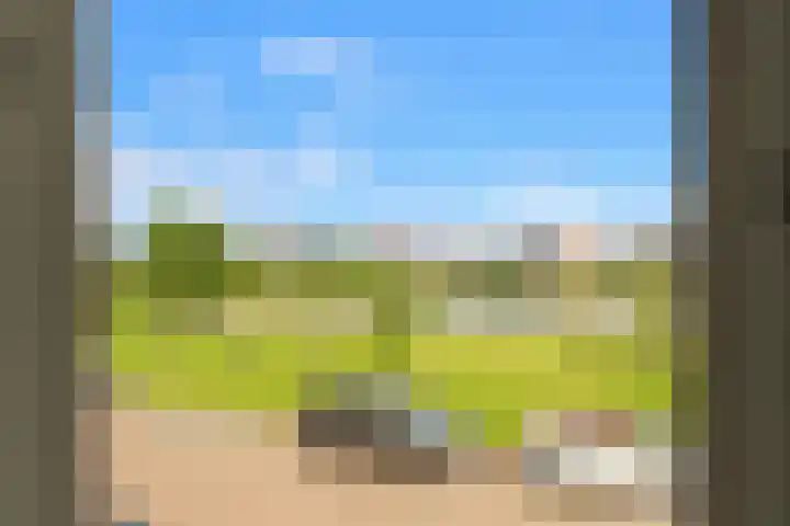 Boogoort 62 Broek op Langedijk thumbnail 25