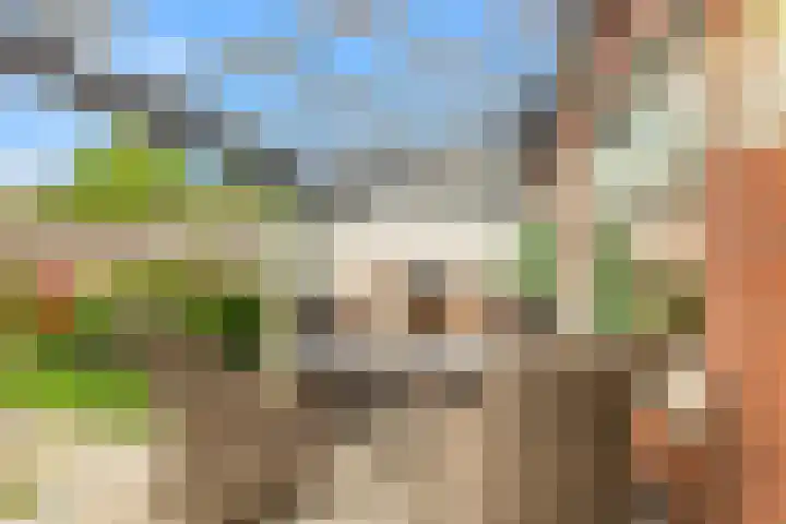 Boogoort 62 Broek op Langedijk thumbnail 34