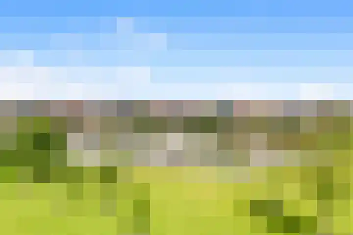 Boogoort 62 Broek op Langedijk thumbnail 40