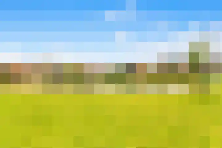 Boogoort 62 Broek op Langedijk thumbnail 5