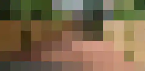 Boogschutter 10 Amstelveen thumbnail 5