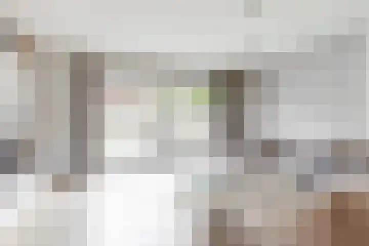 Boogschutter 104 Hoorn thumbnail 10
