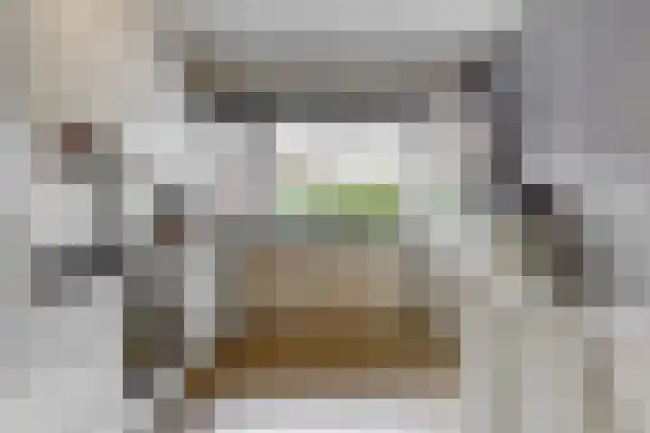 Boogschutter 104 Hoorn thumbnail 12