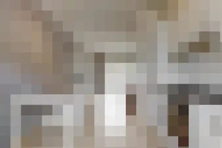 Boogschutter 104 Hoorn thumbnail 13