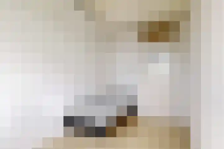 Boogschutter 104 Hoorn thumbnail 21