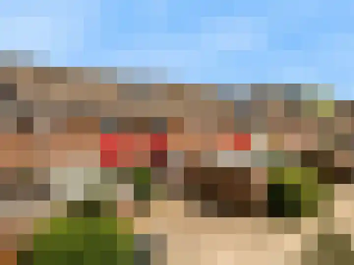 Boogschutter 104 Hoorn thumbnail 31
