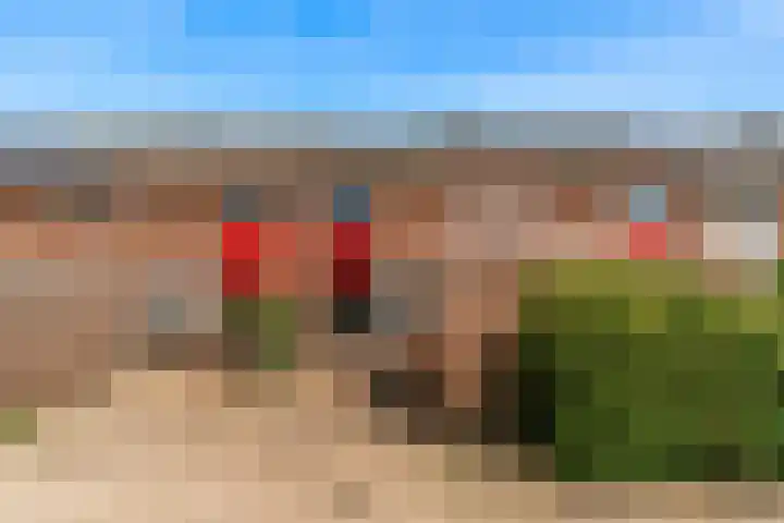 Boogschutter 104 Hoorn thumbnail 32