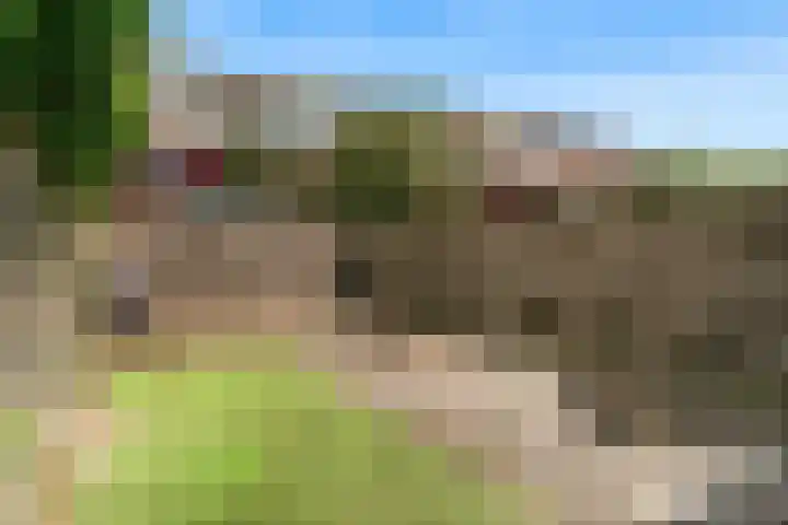 Boogschutter 104 Hoorn thumbnail 34