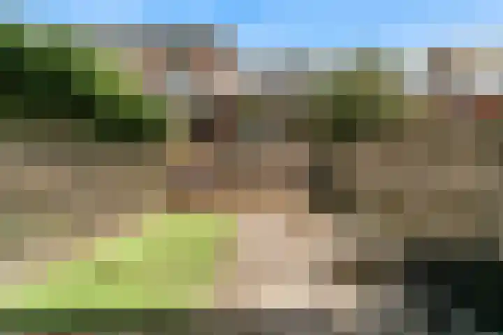 Boogschutter 104 Hoorn thumbnail 35