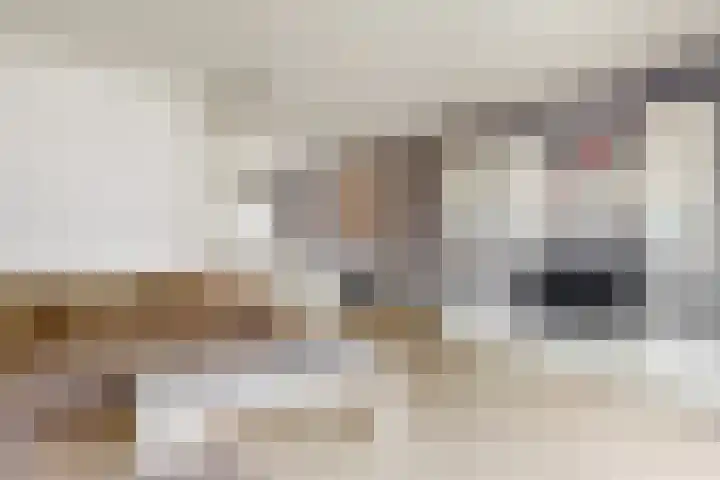 Boogschutter 104 Hoorn thumbnail 8