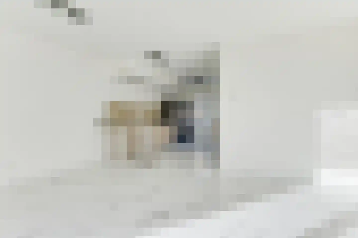 Boogschutter 11 Hoorn thumbnail 17