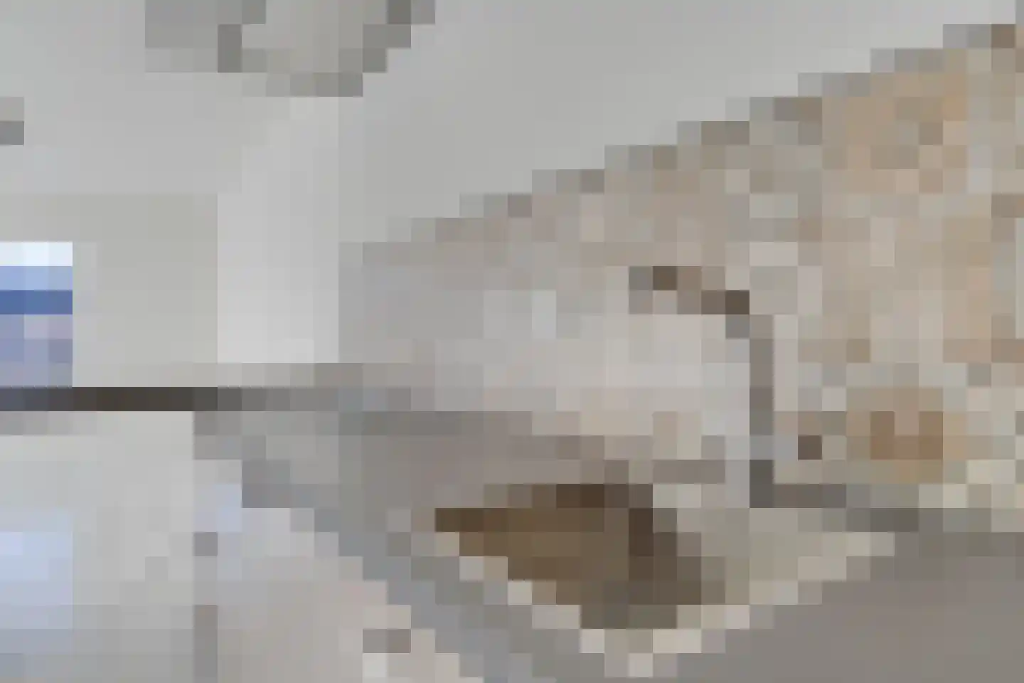 Boogschutter 11 Hoorn thumbnail 21