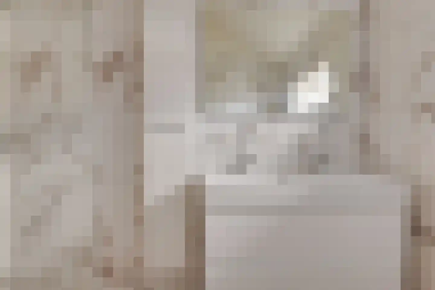Boogschutter 11 Hoorn thumbnail 36