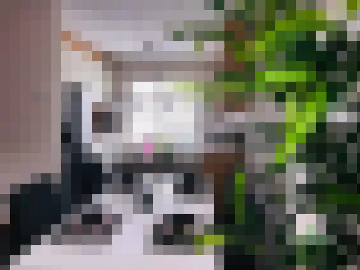 Boogschutter 120 Amstelveen thumbnail 5