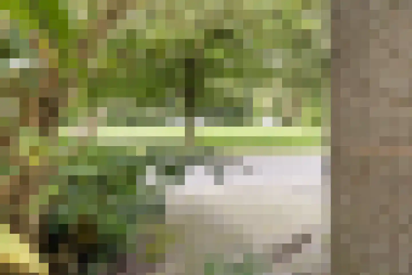 Boogschutter 120 Hoorn thumbnail 32