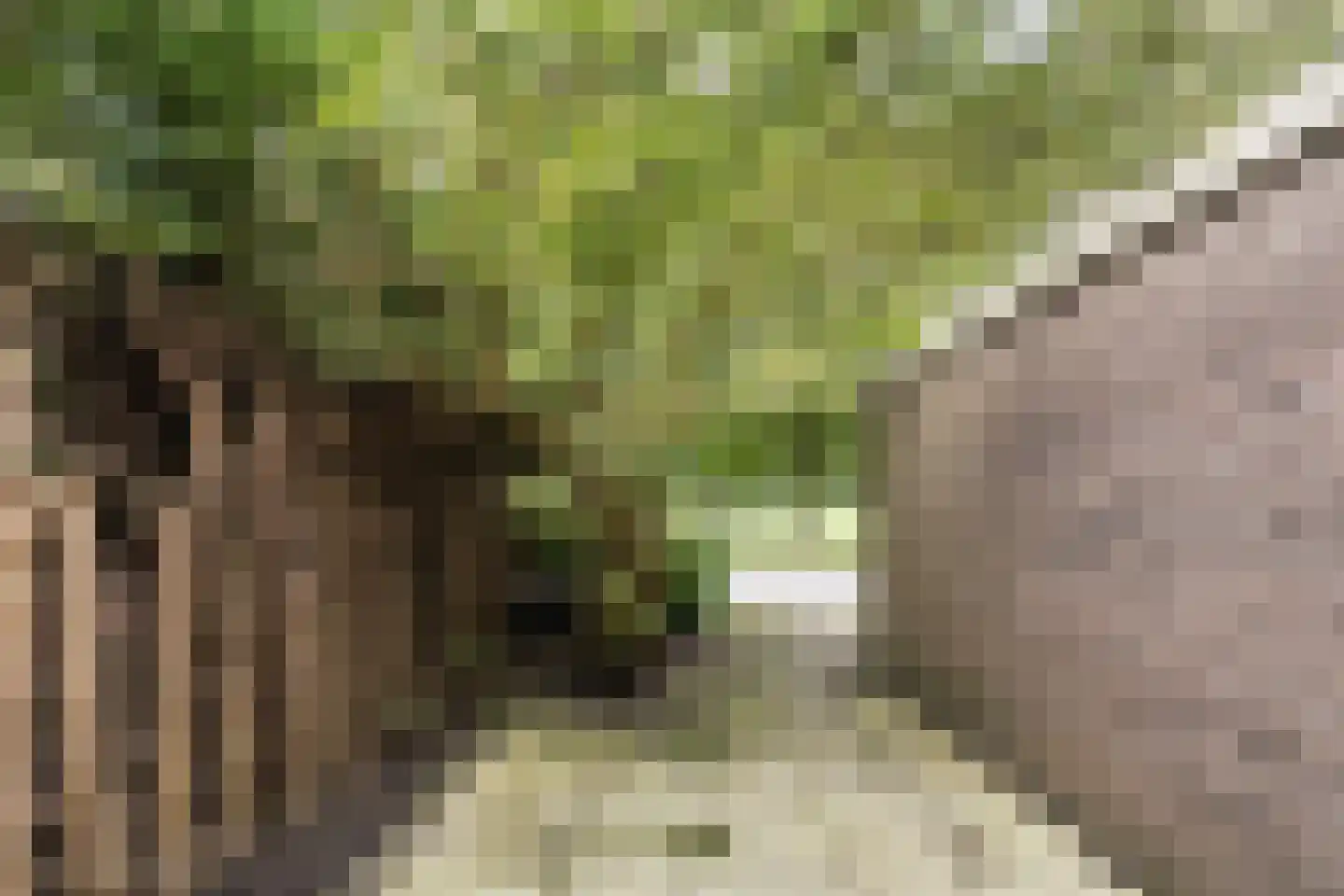 Boogschutter 120 Hoorn thumbnail 33