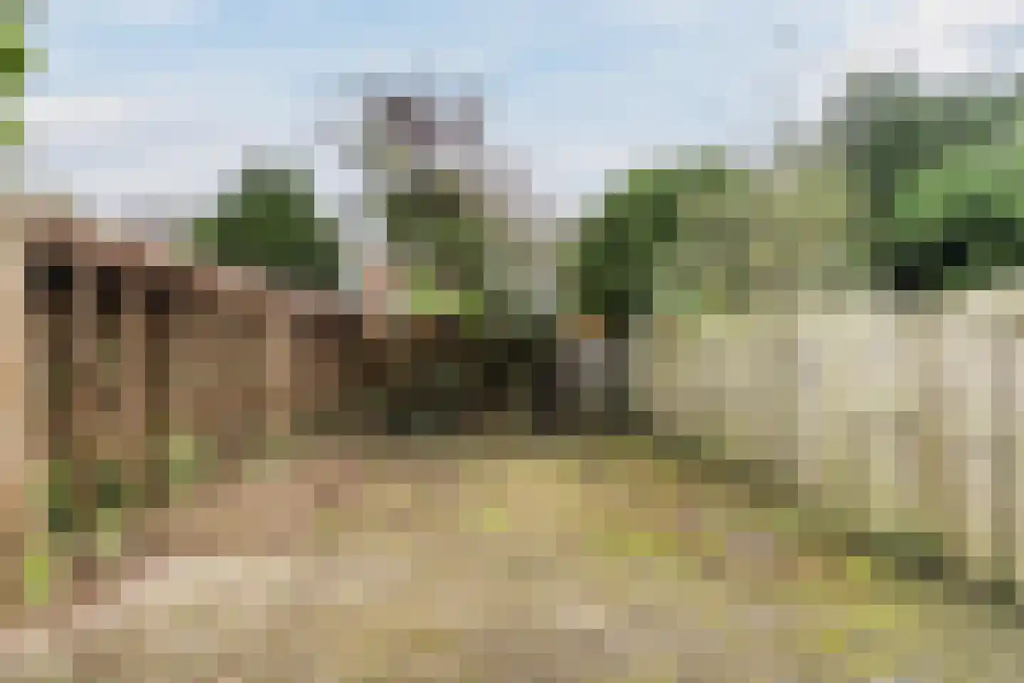 Boogschutter 120 Hoorn thumbnail 37