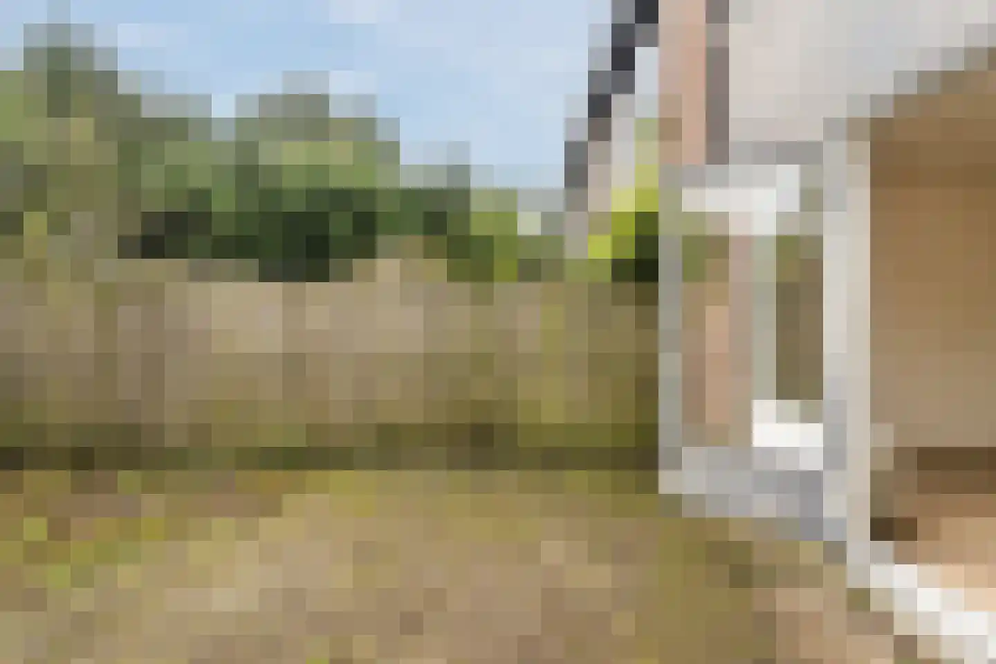 Boogschutter 120 Hoorn thumbnail 38