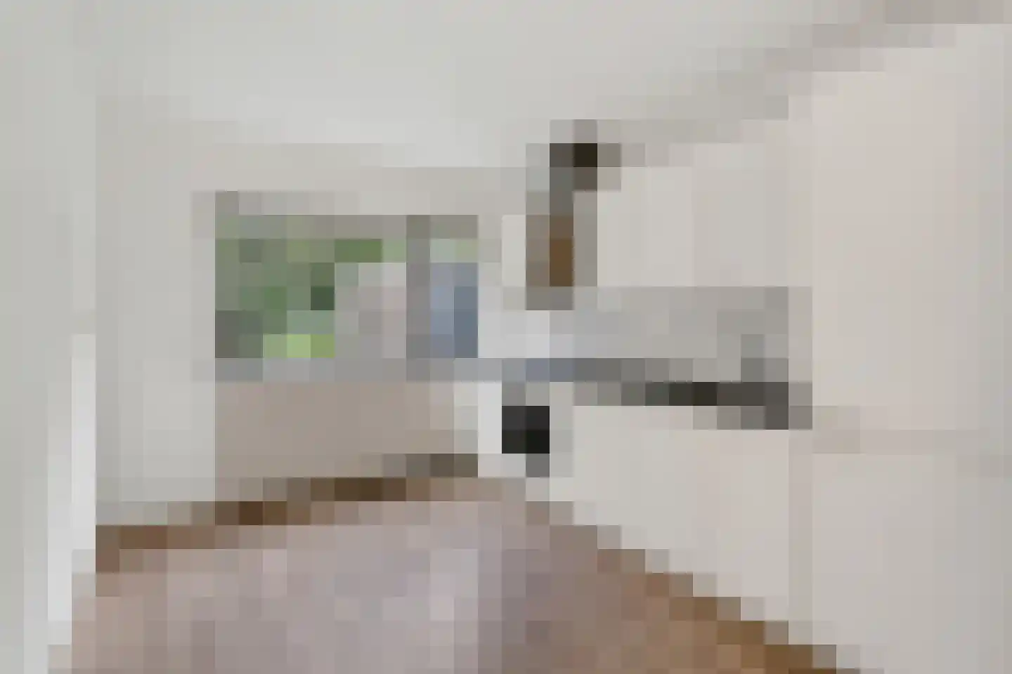 Boogschutter 120 Hoorn thumbnail 4